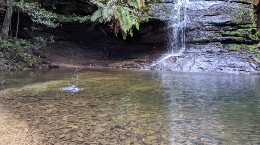 Pool of Siloam