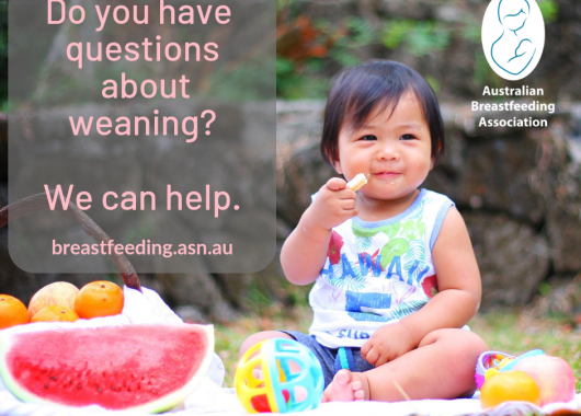 Infant sitting outdoors surrounded by fresh fruits. Infant is wearing bib and holding finger food. Text reads 'Questions about weaning? We can help.'