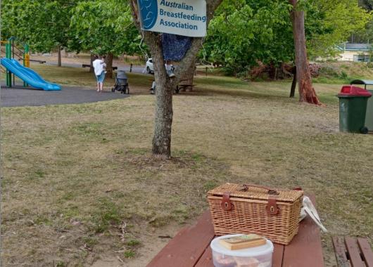 Gloria Park Picnic Ready for You