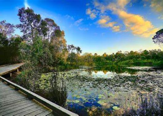 Berrinba Wetlands Qld
