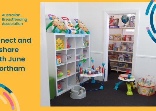 Northam meet up at the Northam Toy Library 16th June 2025