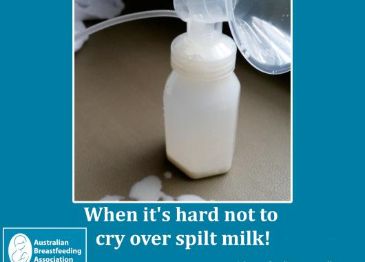Milk