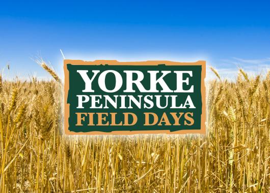 Yorke Peninsula Field Days logo in front of a wheat crop ready for harvest