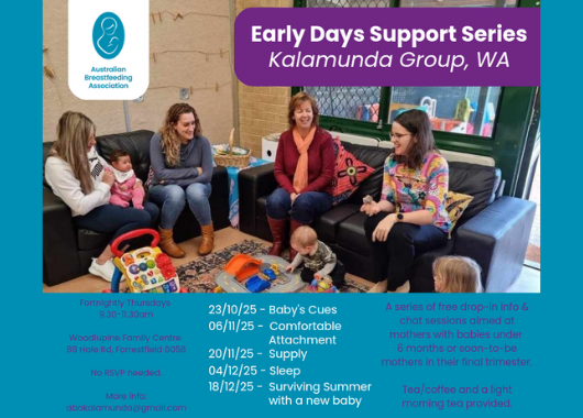 A series of free drop-in info & chat sessions aimed at mothers with babies under  6 months or soon-to-be mothers in their final trimester.   Tea/coffee and a light morning tea provided.