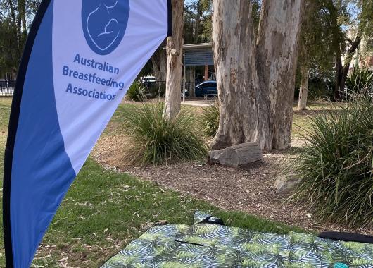 Warner park playground