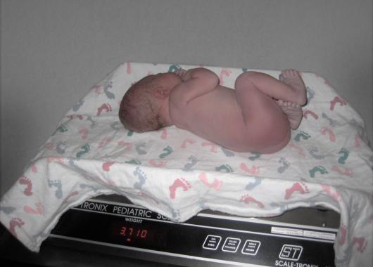 newborn on scales
