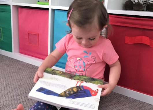 toddler reading a picturebook
