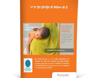 Punjabi booklet