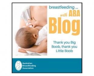 Breastfeeding ... with ABA blog. Thank you Big Boob, thank you Little Boob.