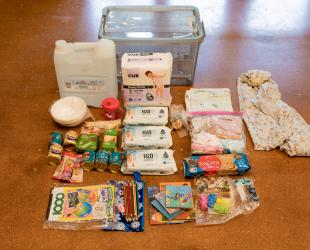 Contents of an evacuation kit for a toddler