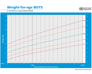 WHO growth chart weight for age boys 6 months to 2 years
