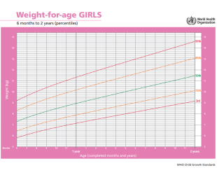 WHO growth chart weight for age girls 6 months to 2 years