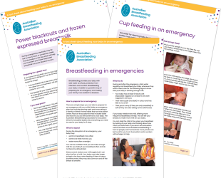 Bushfire project emergency resource bundle