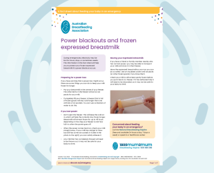 image of the factsheet