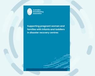 Image of cover page of the guide