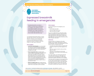 image of the factsheet