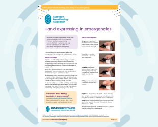 image of the factsheet