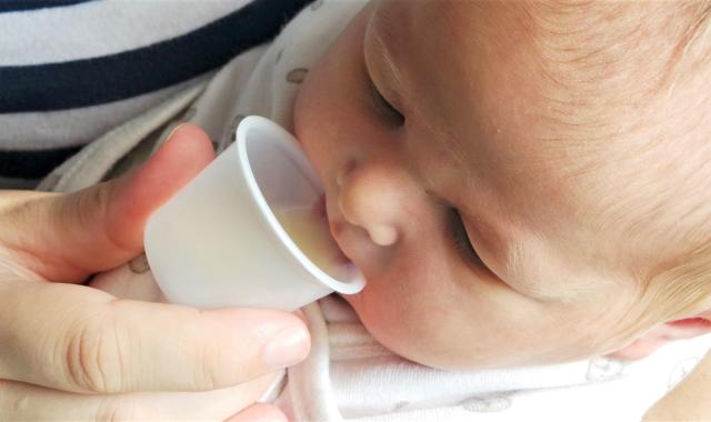 cup feeding close up