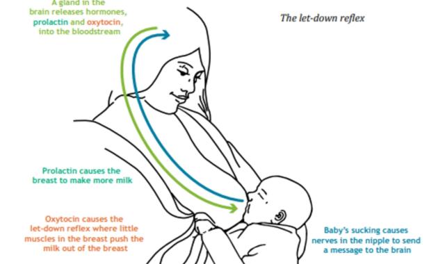 Let-down diagram