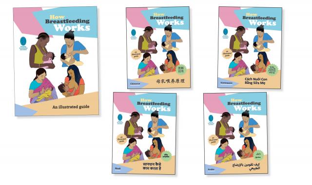 How Breastfeeding Works booklet covers - Easy English, Chinese, Vietnamese, Hindi and Arabic