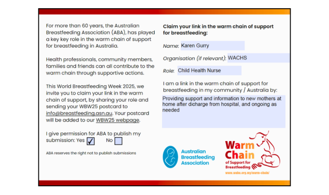 Providing support and information to new mothers at home after discharge from hospital, and ongoing as needed