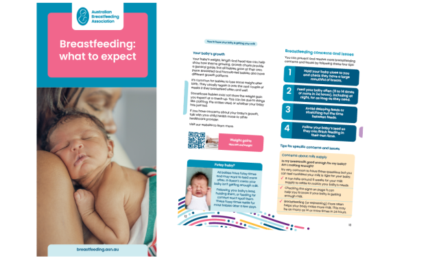 Breastfeeding: what to expect - an image of the booklet