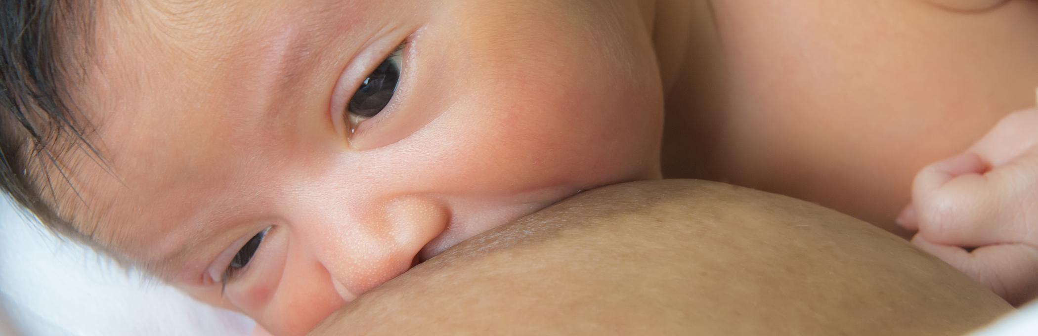 Close up of baby feeding